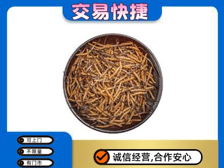 梁平区回收散虫草